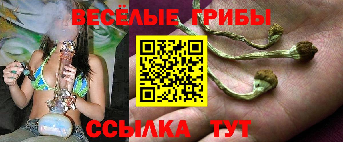 Красный Сулин  Галлюциногенные грибы Psilocybine cubensis  Вход с VPN 